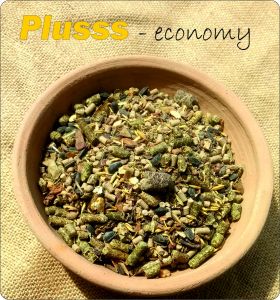 Plusss- economy
